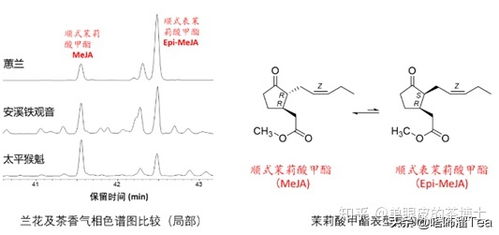 茶叶的豆香,栗香,兰花香是怎么回事 