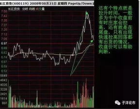 股市现在又开始反弹了可以建仓了吗?哪种股票潜力较大/