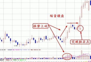 老股民：散户必看的基本选股技巧有哪些