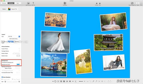TurboCollage如何将颜色或图片设置为照片拼贴的背景