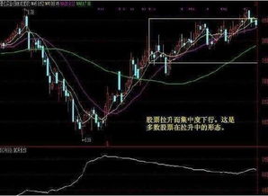 股票筹码分布分析技巧,筹码分布分析