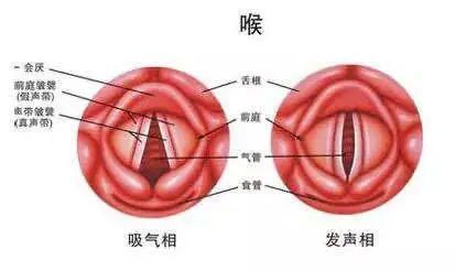 长期声音嘶哑一定要注意 高淳中医院完成多例喉癌手术