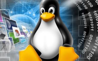 linux进入端口,求教linux系统用什么命令开启UDP端口