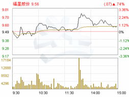 汉川福星科技股份有限公司的网址是多少