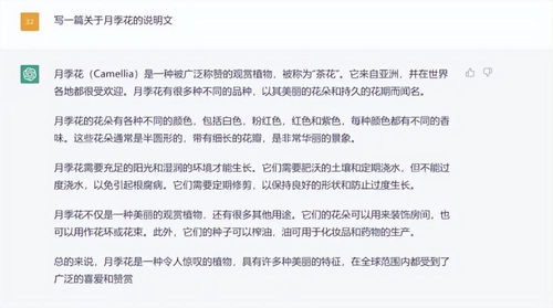 新学期,ChatGPT将成写作文 神器 我们和几位语文老师聊了聊