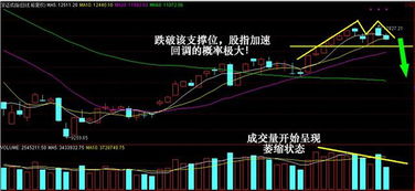 空头主力是什么意思