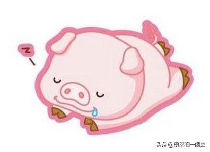 中国十二生肖的由来 猪