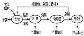 根据表中分析同质量的脂肪和糖类在氧化分解时的差异，以下说法错误的是（　　）物质各元素比例氧化分解时