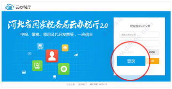 河北云办税厅