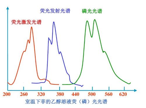 为什么荧光发射波长大于激发波长 