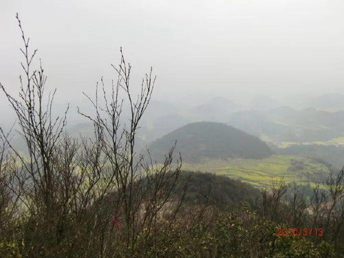 雾海之时,不如登山远眺 老青山