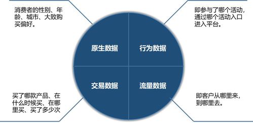 查重率在营销中的重要性及其影响