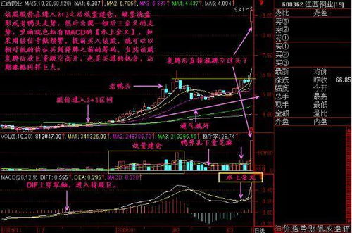 西甲初盘买球网赔率,西甲赔率回顾