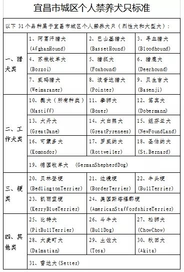 2020年7月 宜昌市城区养犬管理办法 将正式开始实