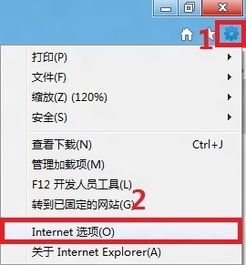 支付宝开发者中应用设置怎么设置 (包含支付宝免费打印服务器设置的词条)