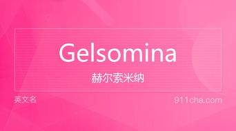 英文名Gelsomina 的意思 性别含义寓意及印象是什么 英文名 911查询 