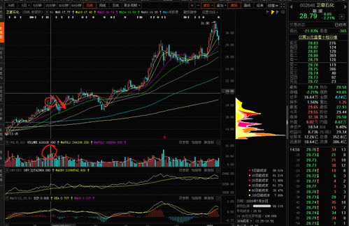  富邦股份股票走势分析最新,最新动态与未来展望 天富官网