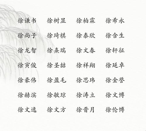 徐姓宝宝起名免费,徐姓宝宝起名免费攻略，助您为孩子挑选美好名字