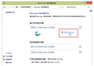 win10怎么不能启用bit