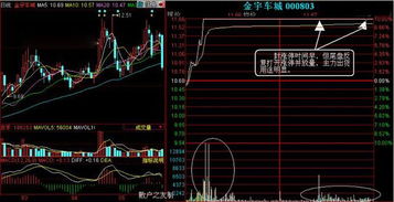 股票中的庄家是怎么回事,是那些大资金吗?