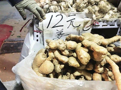 种姜18亩,收购商出价50万,山东大姐连忙摆手都不卖,啥情况 生姜 