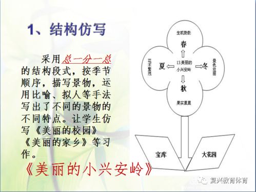 双百 云行动 整本书阅读之读写结合