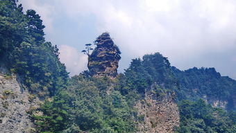国内求财最旺的山,四大佛教名山之首的五台山，据说这座寺庙有求必应，香火最旺