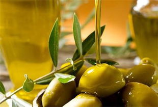 孕妇用什么橄榄油好，孕妇用什么牌子的橄榄油好