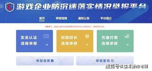 查重违规信息未处理：SEO优化不可忽视的一环