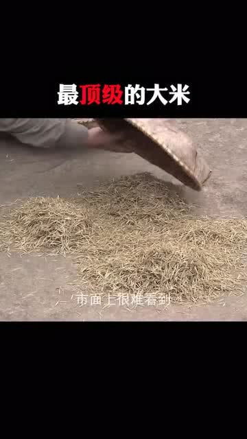 每天一点冷知识 最顶级的大米 