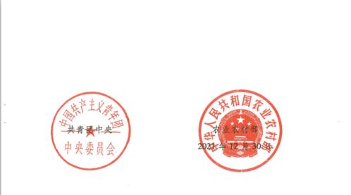 青年模范 喜报 国家级表彰 青海省六名青年获评首届 全国乡村振兴青年先锋