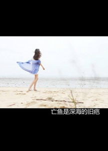 亡鱼是深海的旧疤