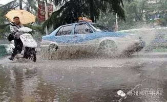 林州昨天下大雨 街道汽车 水上漂 