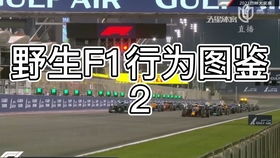 RaceFans车手评分:诺里斯8分最高,周冠宇5分,-第4张图片