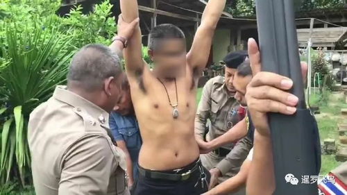 触犯动物保护法,泰国男子射杀自家宠物狗被逮捕