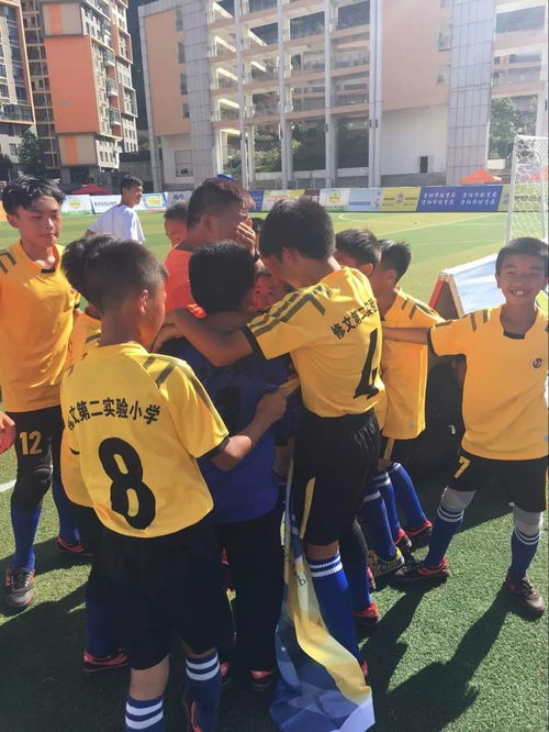 小学男子足球如何分组,足球比赛分组