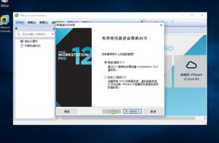 windows10安装mac系统,win下制作mac苹果系统启动u盘制作