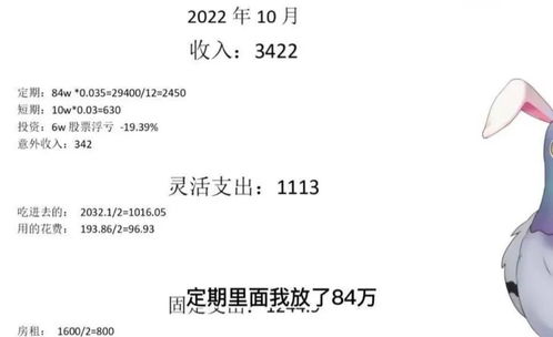 30岁硕士攒够100万退休,靠利息维持生活,每月只花1000元,2猫2人,无车贷房贷