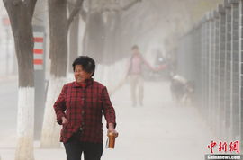 中国西北部遭大风扬沙天气 