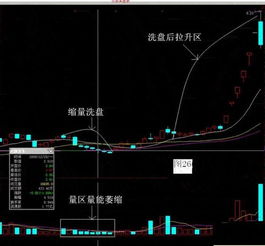 主力洗盘一般是缩量大跌吗？