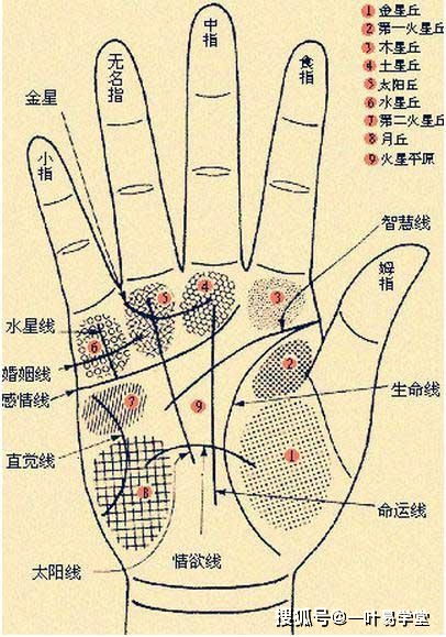 会是成为有钱人的手相,都有何特点