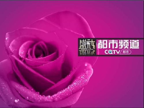 重庆都市频道直播高清,重庆城市频道:高清直播,获取最新城市资讯