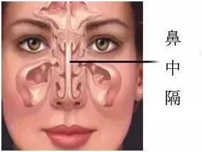 隆鼻手术过程视频 隆鼻手术过程视频 应用