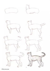 彩铅课堂167 50个猫的画法