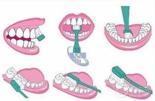 频繁的刷牙对牙齿有害吗(频繁刷牙会怎么样)