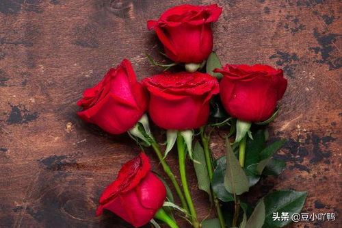 19朵玫瑰代表什么花语,19朵红玫瑰花语是什么意思