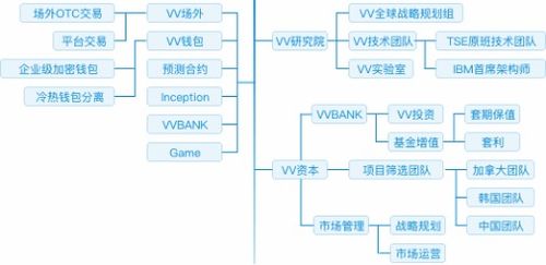 vv币怎么提现交易所,V V881的VV币是什么，是怎么获得的，该怎样使用？