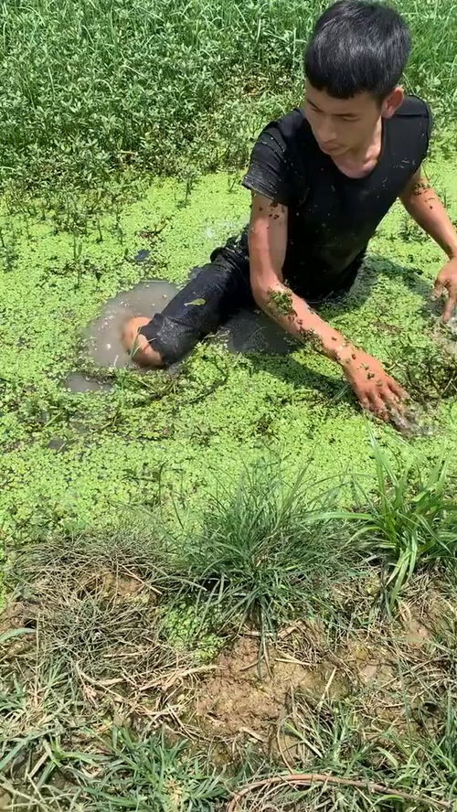 好不容易抓到的黄鳝,差一点让它跑了 抓鱼 