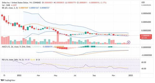 shib币价格今日行情走势图,市场概况 shib币价格今日行情走势图,市场概况 生态