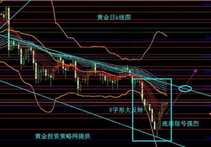 股海新手.请问老手怎样选股?